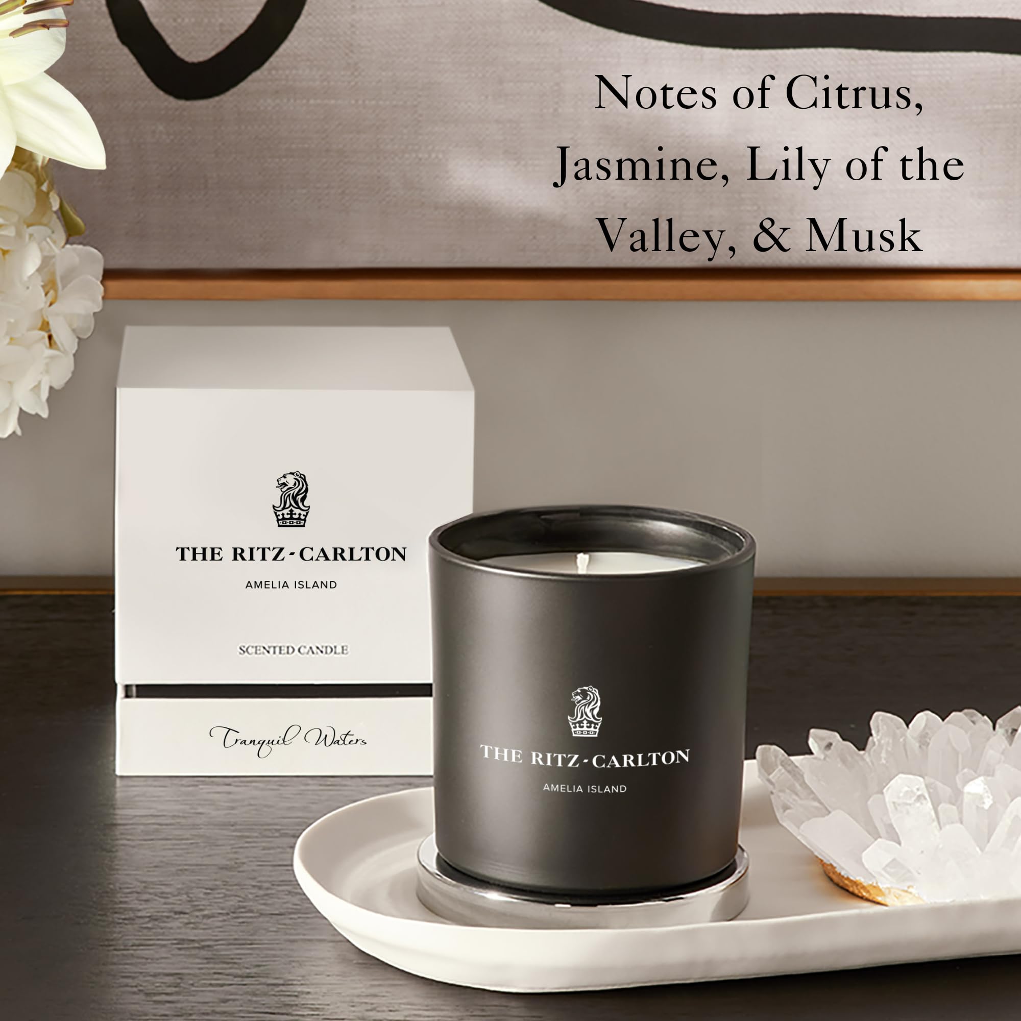 Amazon.co.jp: The Ritz-Carlton キャンドル - アメリア島 - 静かな水